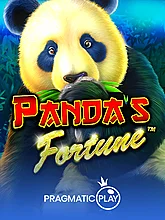 pp image